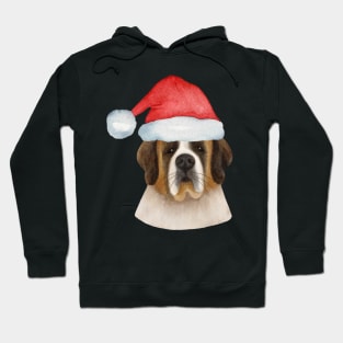 Cute And Lovely Animals With Christmas Hoodie